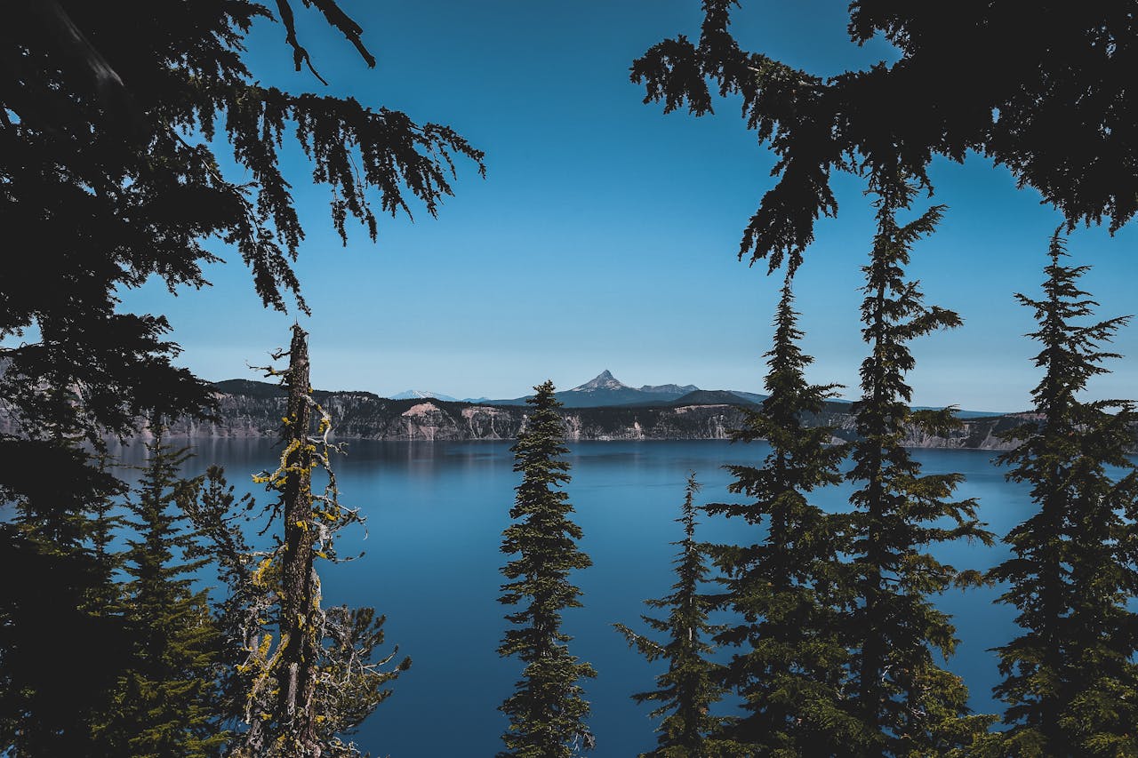 A view between the trees in Klamath County, a great place to get an Oregon bank statement loan for a vacation home.