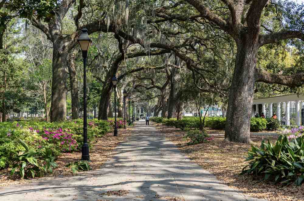 Walking path in Georgia